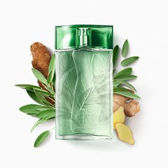Arbo Botanic Desodorante Colônia 100ml - comprar online