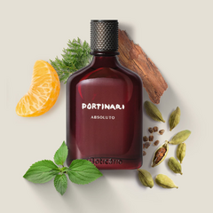 Portinari Absoluto Desodorante Colônia 100ml - loja online