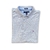 Polo Tommy Hilfiger Cinza – original - Custom Fit (Tamanho G)