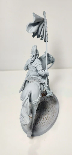 CABALLERO CON BANDERA en internet