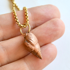 Collar Caracol De Mar Real En Cobre Y Cadena De Acero, Cod1 - Joyas Pura Vida