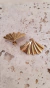 AROS BAÑO ORO | CECILE - comprar online