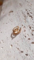 EARCUFF BAÑO ORO | FREYA - comprar online