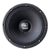 Parlante Selenium 10" PW3 Woofer 150w/300w