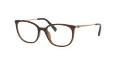 Armação para óculos Grazi - 0GZ3146 N601 - Marrom translúcido - NEW GLASSES ÓTICA