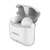 AURICULAR SOUL TWS300