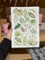 Flores, Plantas y mariposas - comprar online