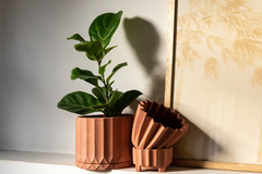 Banner de la categoría Linea terracota