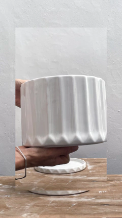 Maceta Pothia con plato blanco ( SALDOS ) - Moshi Home