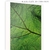 Quadro - Folhagem 3 - comprar online