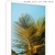 Quadro - Palm - comprar online