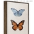 Quadro - Borboleta 1 na internet