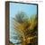 Quadro - Palm na internet