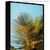 Quadro - Palm