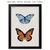 Quadro - Borboleta 1 na internet
