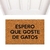 Capacho - Espero que goste de gatos