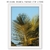 Quadro - Palm - GALERIA DE ARTES GINA - CASA DA GINA