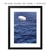 Quadro - Parapente - GALERIA DE ARTES GINA - CASA DA GINA
