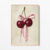 Cherry Bow na internet