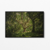 Forest - loja online