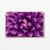 Purple Flower na internet