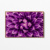 Purple Flower - Motif