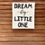 Cuadrito bastidor - Frase Dream Big, Little One ......