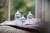 Mamadera Tommee Tippee Closer To Nature 350ml en internet