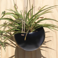 Maceta colgante tipo esfera con soga de cuero. La maceta mide 22cm de diámetro. Incluye soga de cuero para colgar