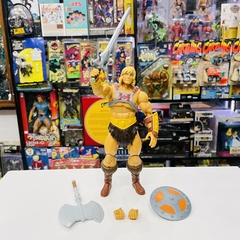 MOTU HEMAN Mattel Heman Revelation