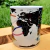 LANÇAMENTO - Caneca Eclipses Solares 2020 à 2030 na internet