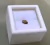 Meteorito NWA 7401 - Condrito Enstatita EL