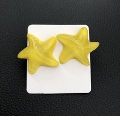 Brinco Estrela do Mar Acrílica na internet