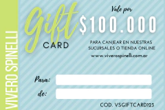 GIFTCARD $100.000