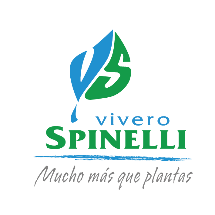 VIVERO SPINELLI