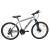 Bicicleta R24 21v ltwoo FIRE BIRD Con Suspencion