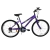 Bicicleta MTB R26 18V FIRE BIRD Dama en internet