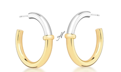 Brinco argola dois banhos