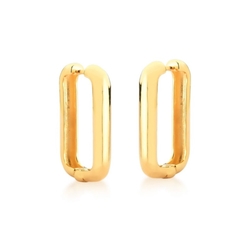 Brinco arg banhada a ouro 18k