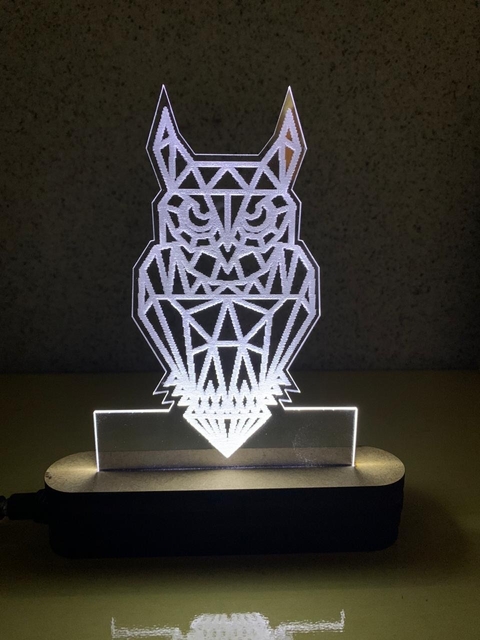 Luminária de acrilico led coruja