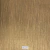 Papel de Parede - Famous Scene - Dourado com Brilho - FSG124 - comprar online