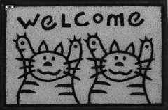 Imagem do Tapete Capacho Personalizado Welcome Gatos - Em 80 X 40