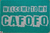Tapete Capacho - Welcome To My Cafofo - Verde Piscina