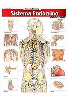 sisitema endocrino avancado - 1 - barros- fischer e as