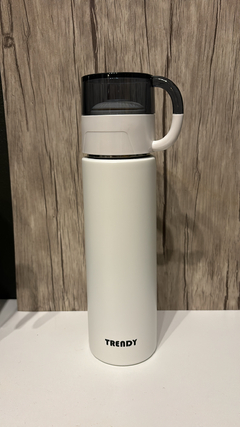 TERMO TENDRY 500ml - comprar online