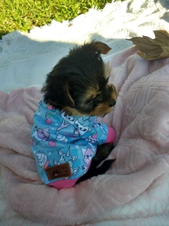 Blusa Unicórnios - Lovely Pets
