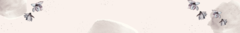 Banner da categoria Brincos