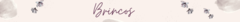 Banner da categoria Brincos