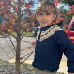 Americana guarda en internet