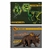 Caderno Cartografia Desenho Dinossauro 80Fls Foroni Kit 2